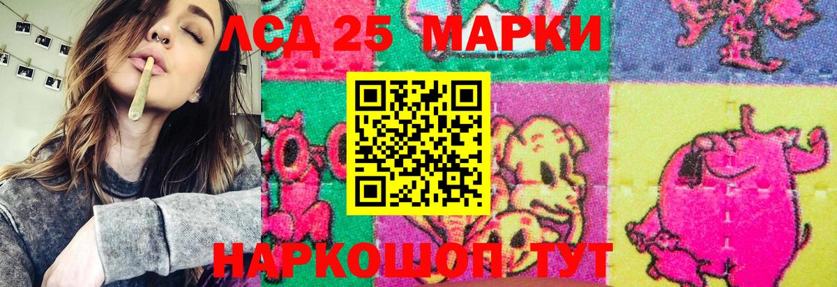 Наркотические марки 1,5мг  Наркотические марки 1,5мг  Хасавюрт  Вход с VPN 