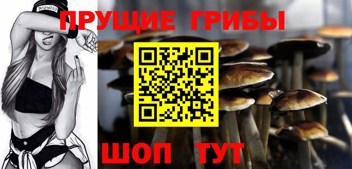 Хасавюрт  Галлюциногенные грибы мухоморы  Псилоцибиновые грибы Magic Shrooms  Вход с VPN 